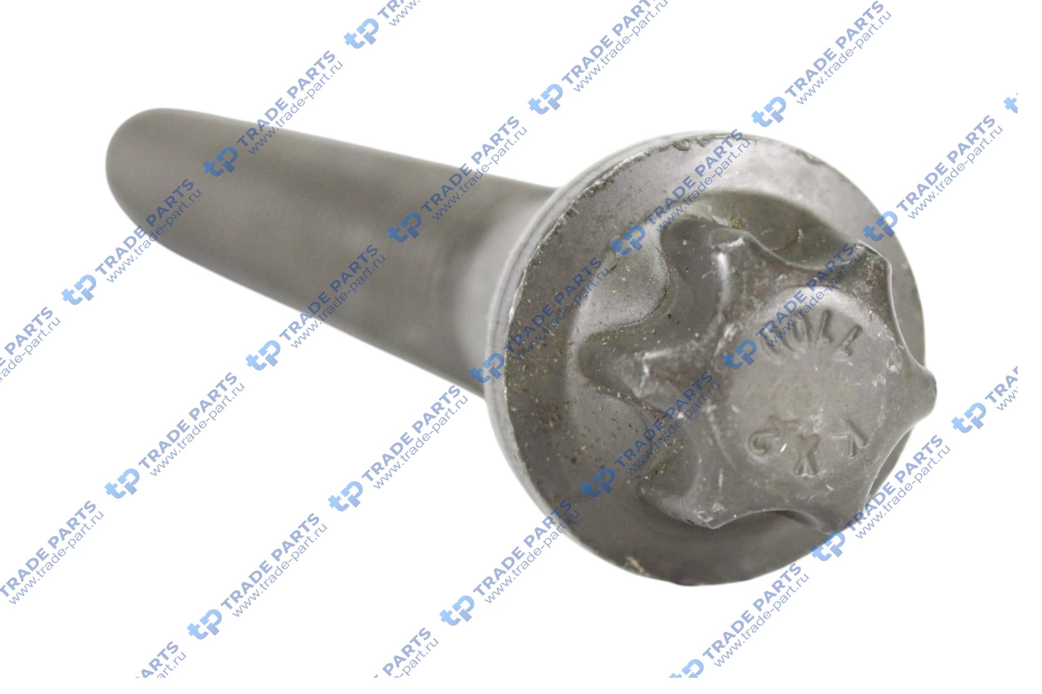 Реальная фотография болт гбц| m14x141 /deutz