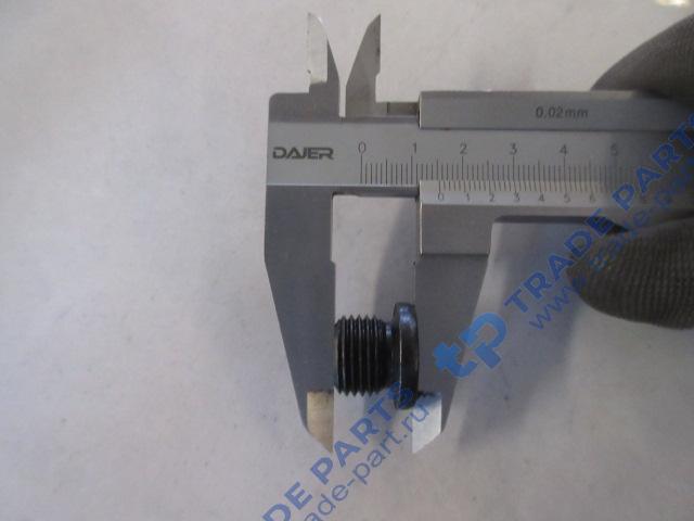 Реальная фотография пробка резьбовая головки блока sitrak mc11/mc13