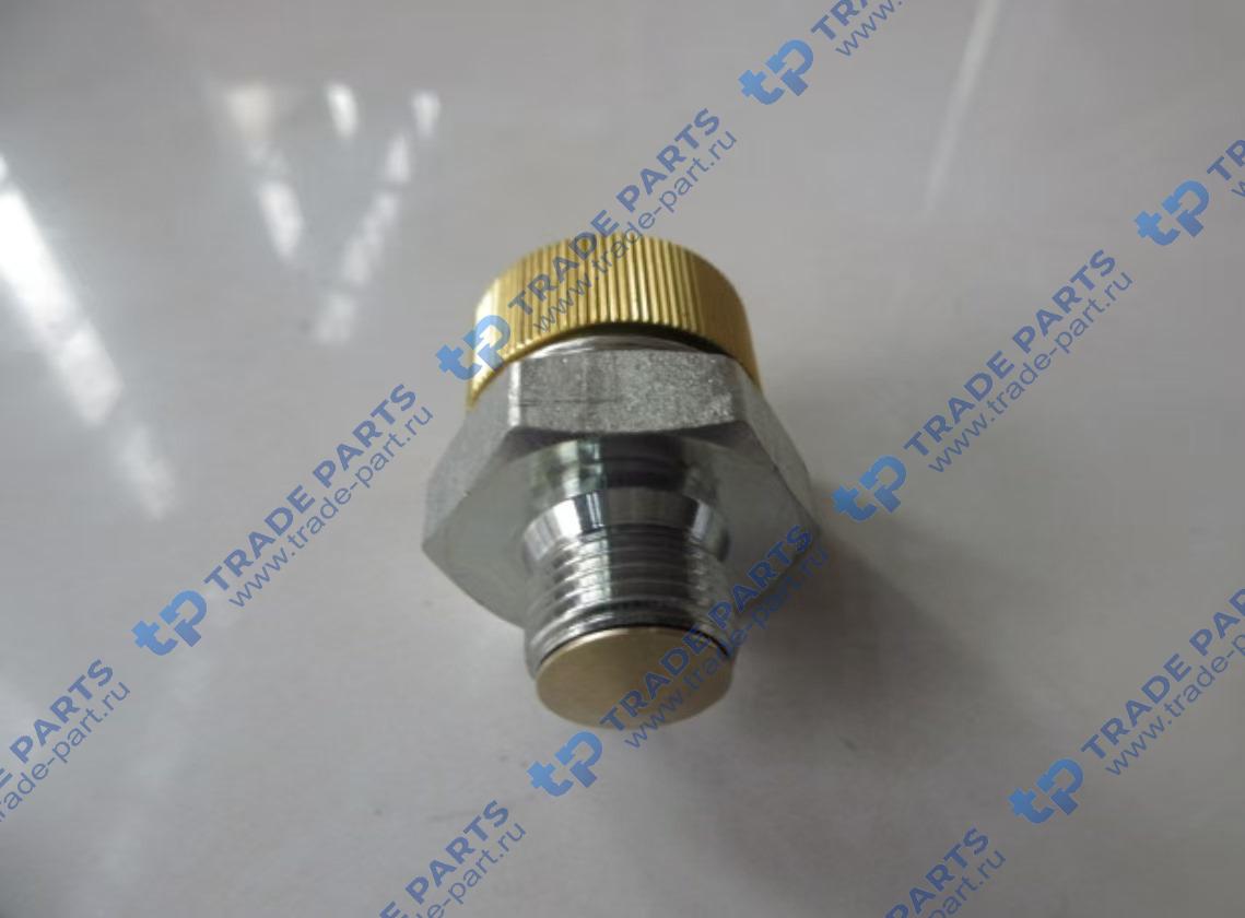 Реальная фотография клапан слива масла 800155118