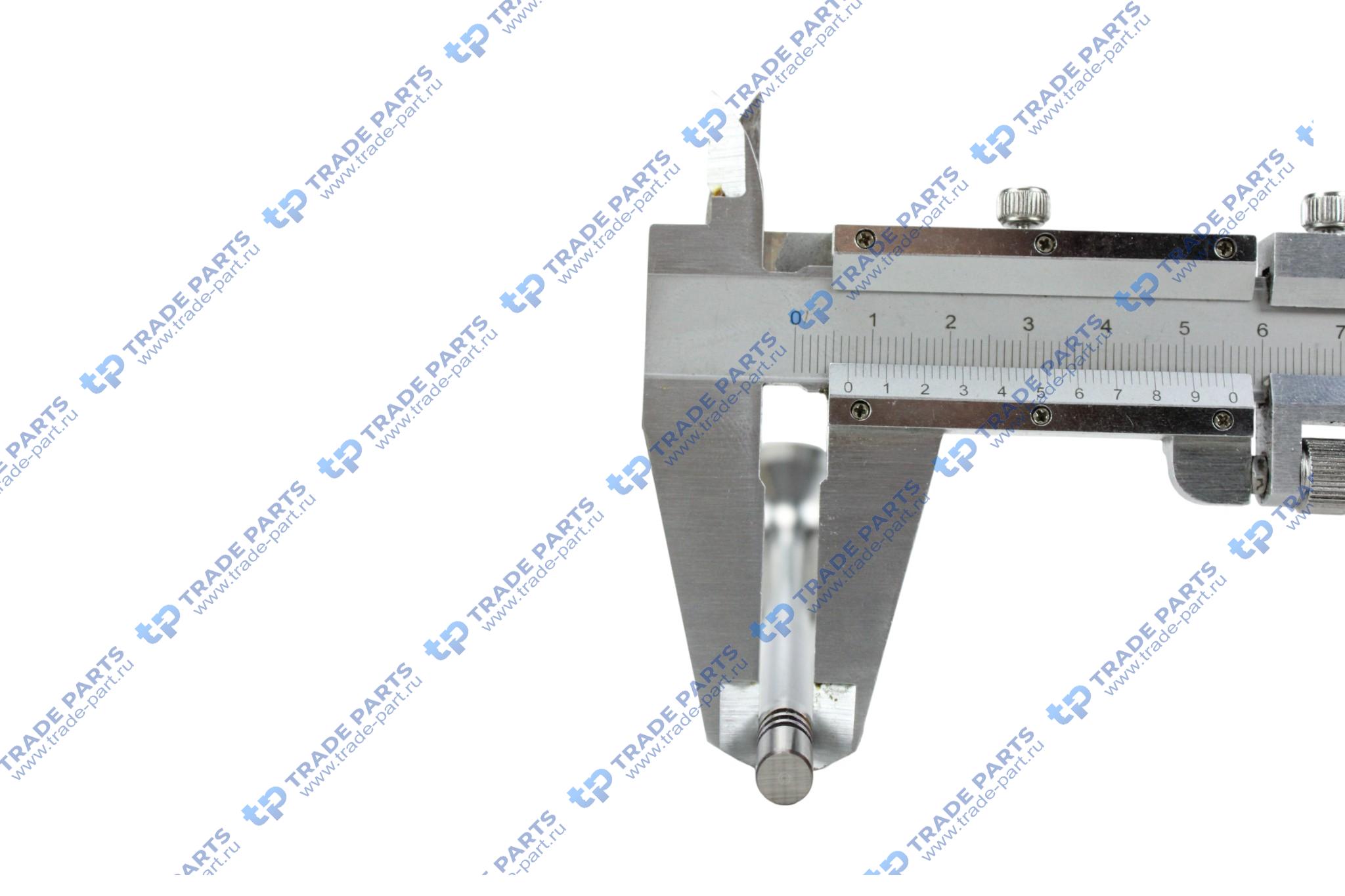 Реальная фотография клапан впускной 38x7x141.5 man tgl/tgm дв.d0836 lf41/44/lfl44/50-55/loh40-41/luh40/