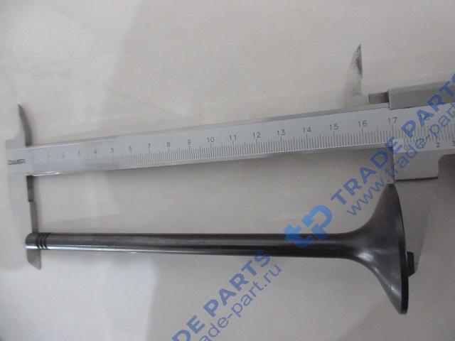 Реальная фотография клапан wp12 впускной shaanxi 612630050001