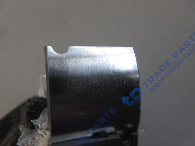 Реальная фотография вкладыши коренные (std) 13034886/13034887 wp6 качество о