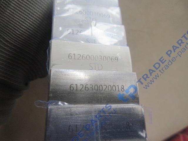 Реальная фотография вкладыши шатунные комплект wp13.480e501 1001326364/1001762096 качество о