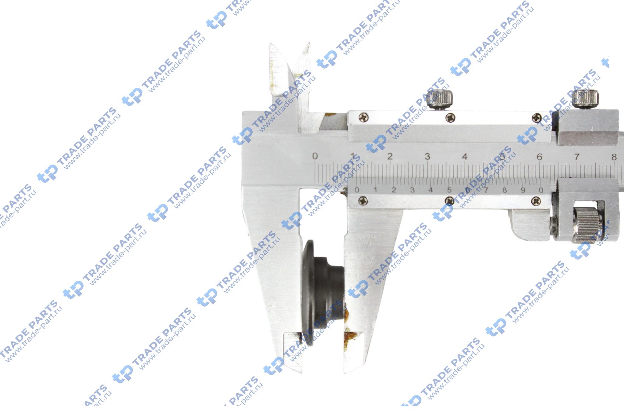 Реальная фотография тарелка клапанной пружины mb om 906 (a906 053 02 25)