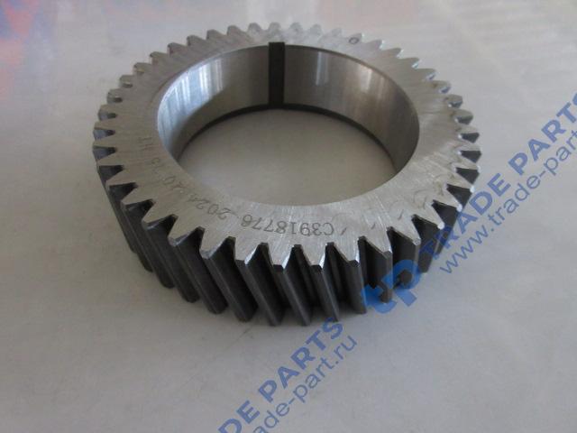 Реальная фотография шестерня коленвала