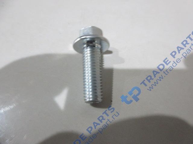 Реальная фотография болт м10*30 тнвд faw качество о