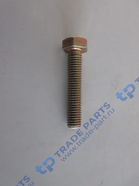 Реальная фотография болт крепления демпферных пластин m10x 50-8.8
