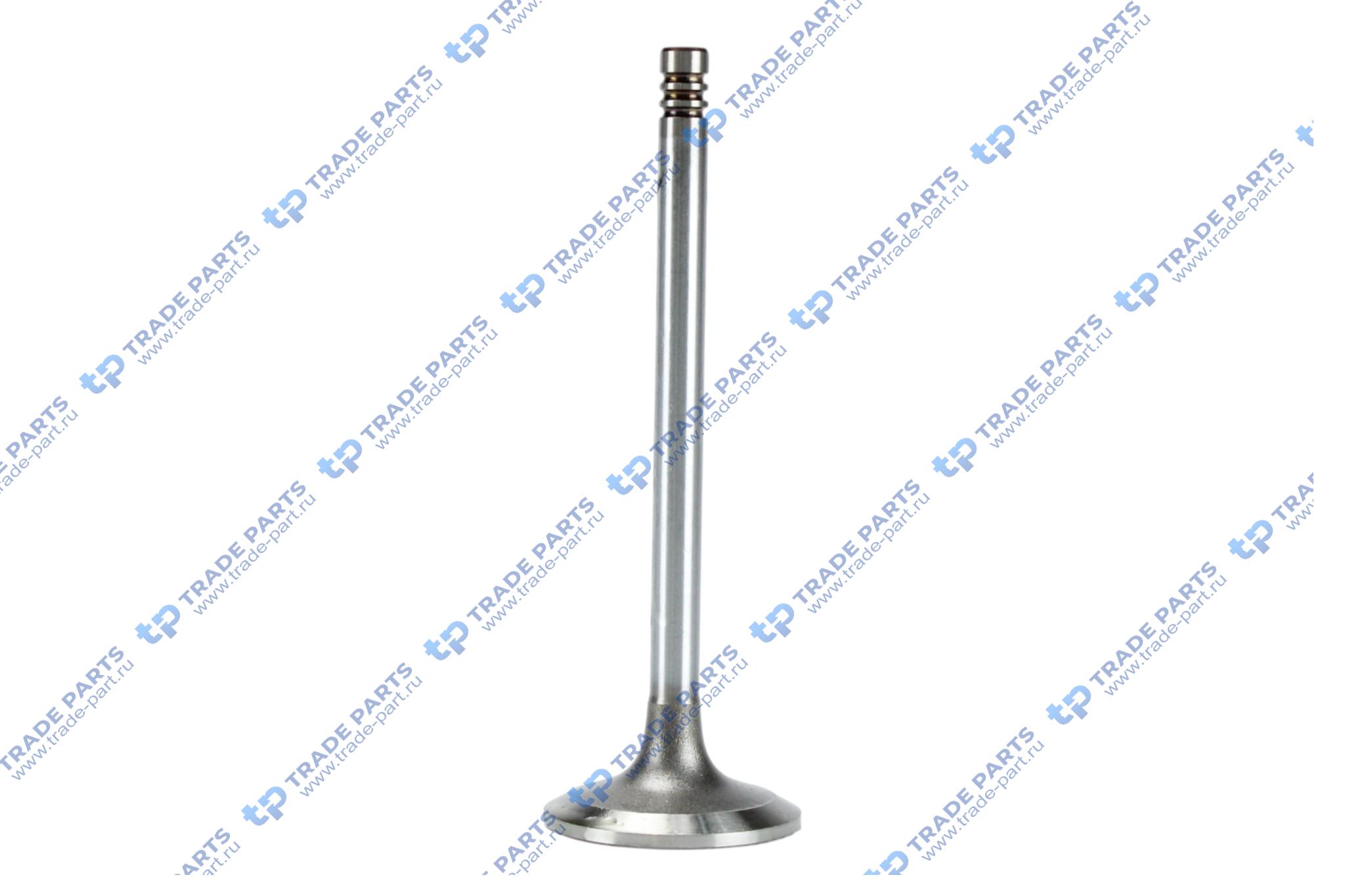 Реальная фотография клапан впускной deutz bfm1012 8x41.7x124.7