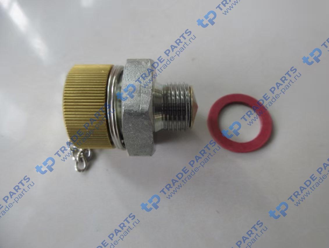 Реальная фотография клапан слива масла 800155118