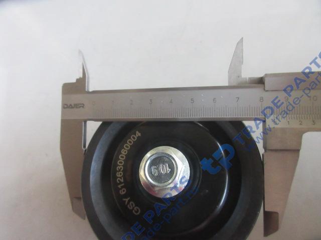 Реальная фотография ролик натяжной ручейковый wp12 wd10 10pk