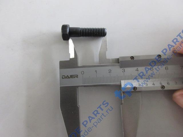 Реальная фотография болт крепления форсунки с6121