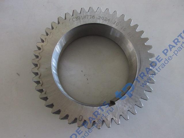 Реальная фотография шестерня коленвала