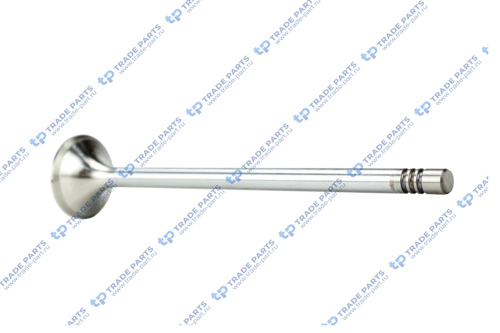 Реальная фотография выпускной клапан