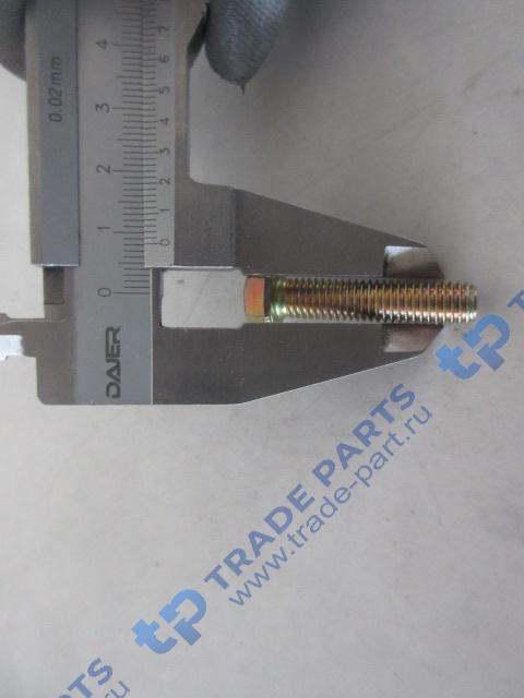 Реальная фотография болт клапанной крышки 01139584/4110000054144/4110000054171