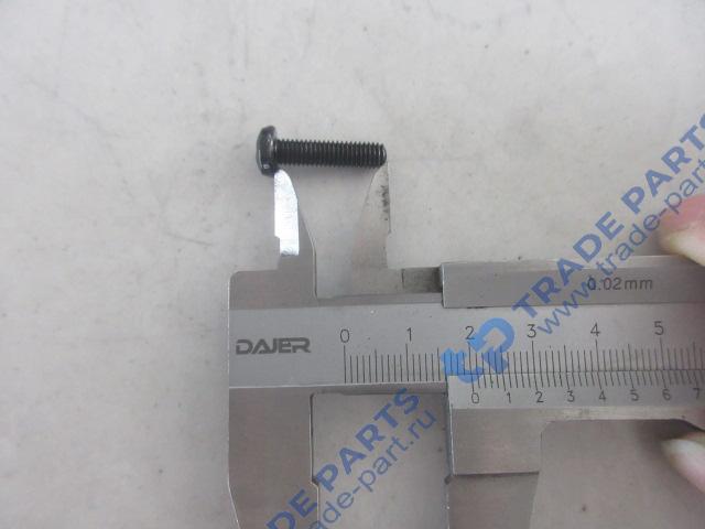 Реальная фотография винт с выпуклой головкой и крестообразным шлицем качество о