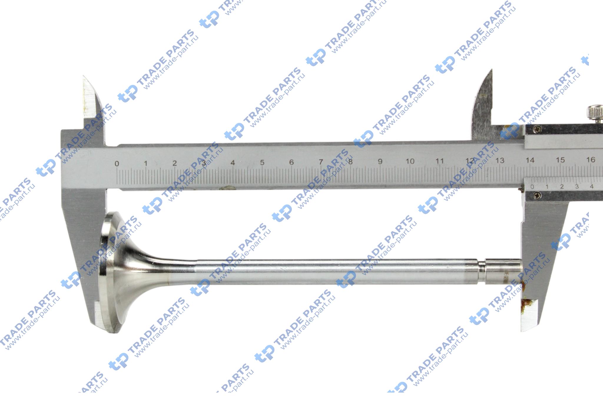 Реальная фотография клапан впускной 42x9x140.5 30гр. mb om364/357/366 a/la