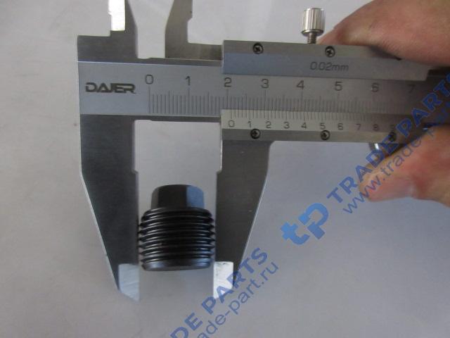 Реальная фотография пробка сливная поддона кпп 4120000345/29050033171