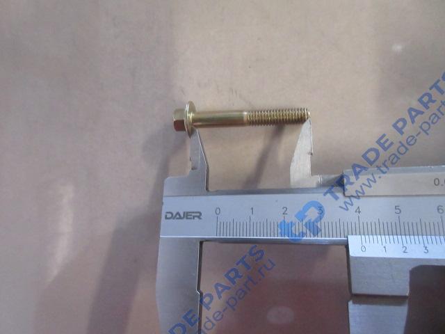 Реальная фотография болт м6 с фланцем sitrak качество о