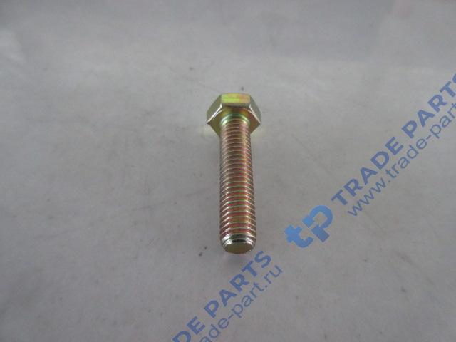 Реальная фотография болт клапанной крышки 01139584/4110000054144/4110000054171