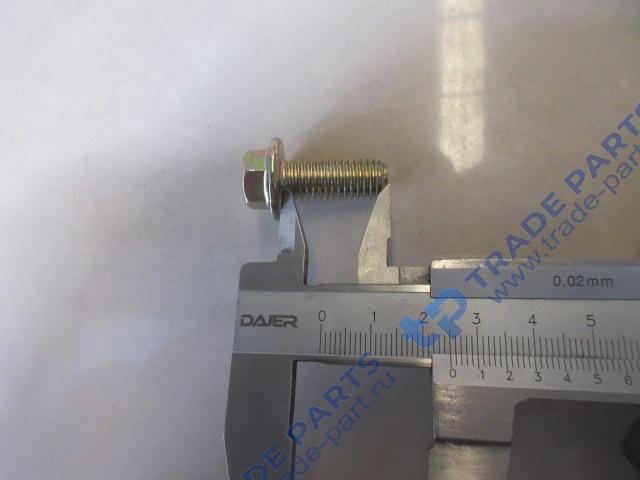 Реальная фотография болт m10*1.5 с фланцем sitrak c7h max