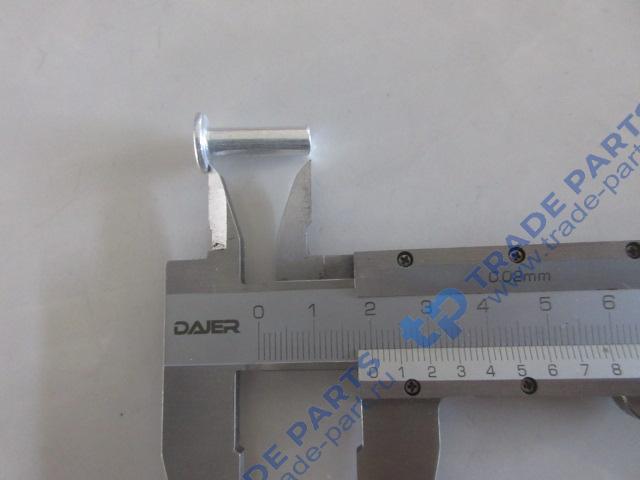 Реальная фотография заклепка d=6 l=20
