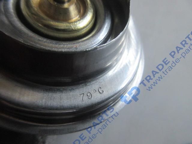 Реальная фотография термостат wp10 79°с