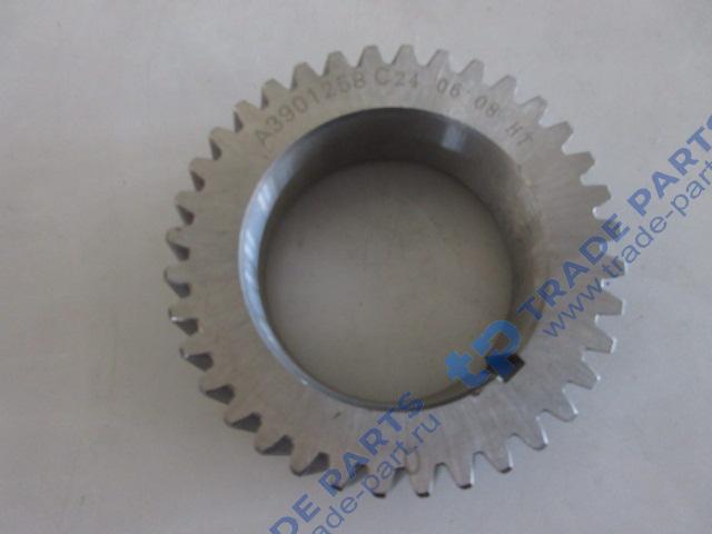 Реальная фотография шестерня коленвала