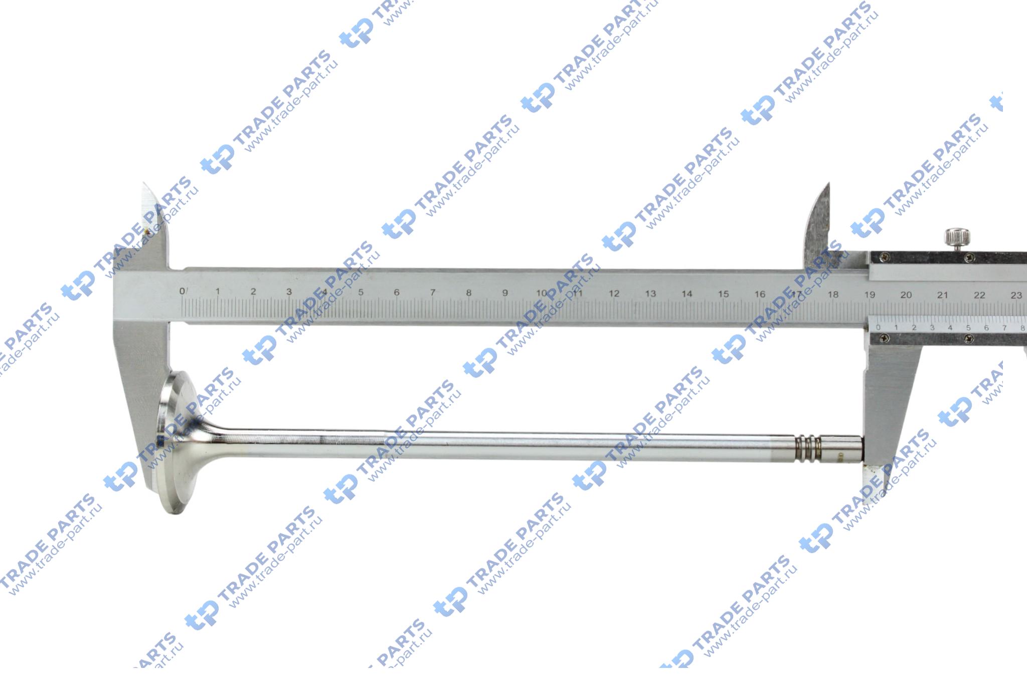 Реальная фотография клапан впускной in 30° 40x8x192rvi premium/kerax/volvo