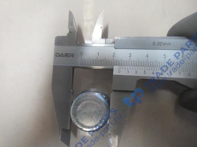 Реальная фотография заглушка кпп zf 12tx2620td