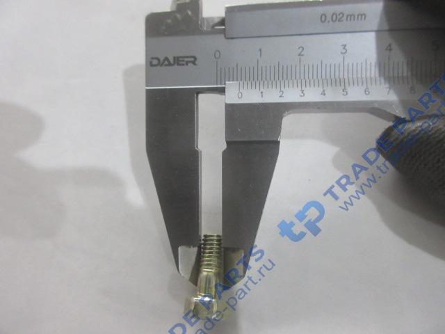 Реальная фотография болт полый форсунки 12151817/4110000054108/01119243/61500080090