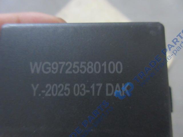 Реальная фотография реле пусковое wg9725580100