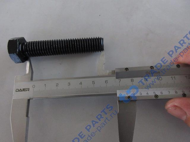 Реальная фотография болт 01010-31470