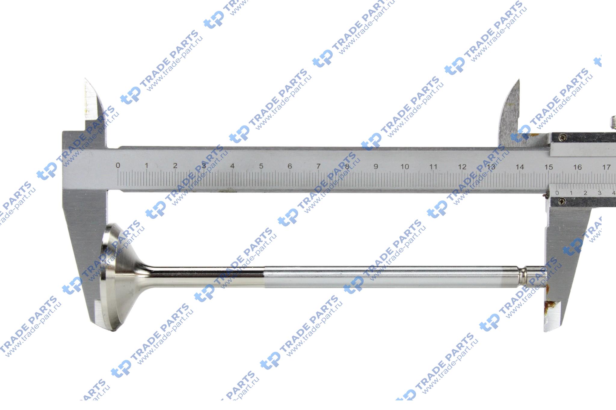 Реальная фотография клапан выпускной 38/8/152,7 mm 45° mb actros/axor дв. om906 la