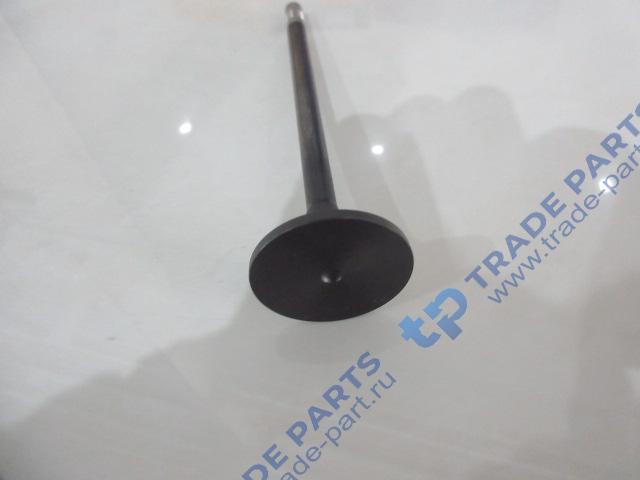 Реальная фотография клапан впускной j7