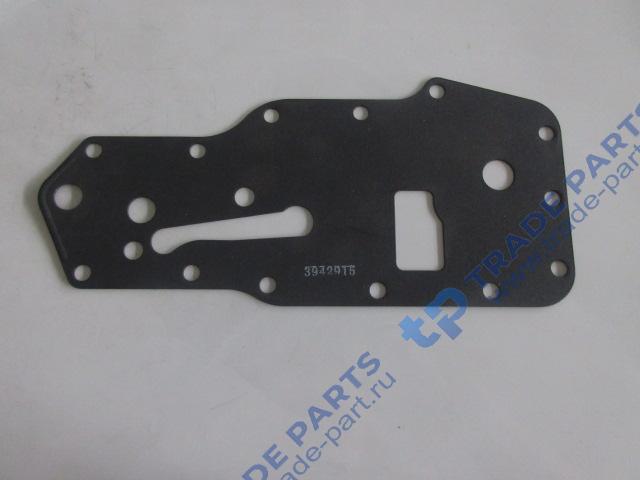 Реальная фотография прокладка головки масляного фильтра (прокладка теплообменника передняя)