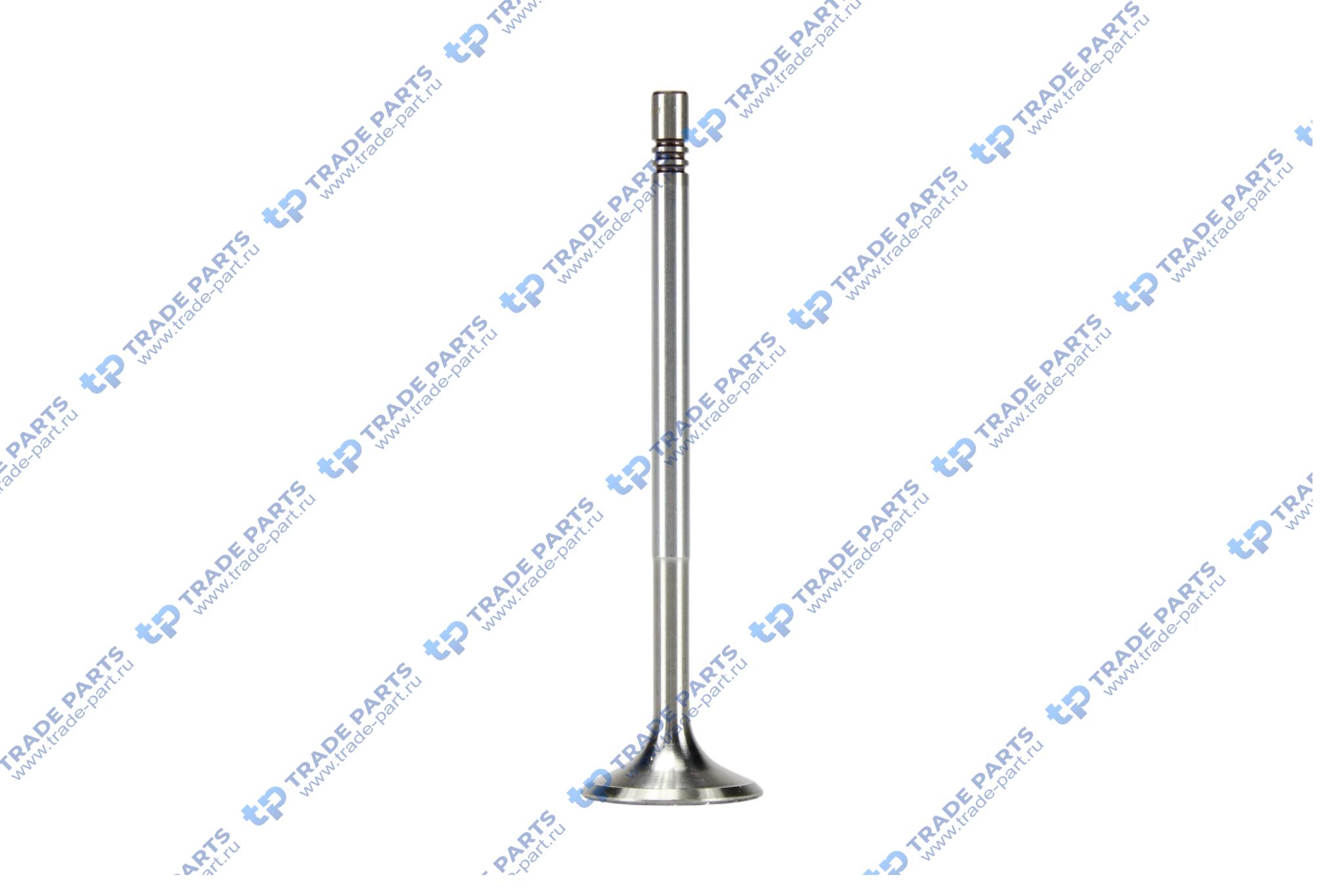 Реальная фотография клапан впускной mb om651 6x28.5x109.2 45° (a651 053 01 01)