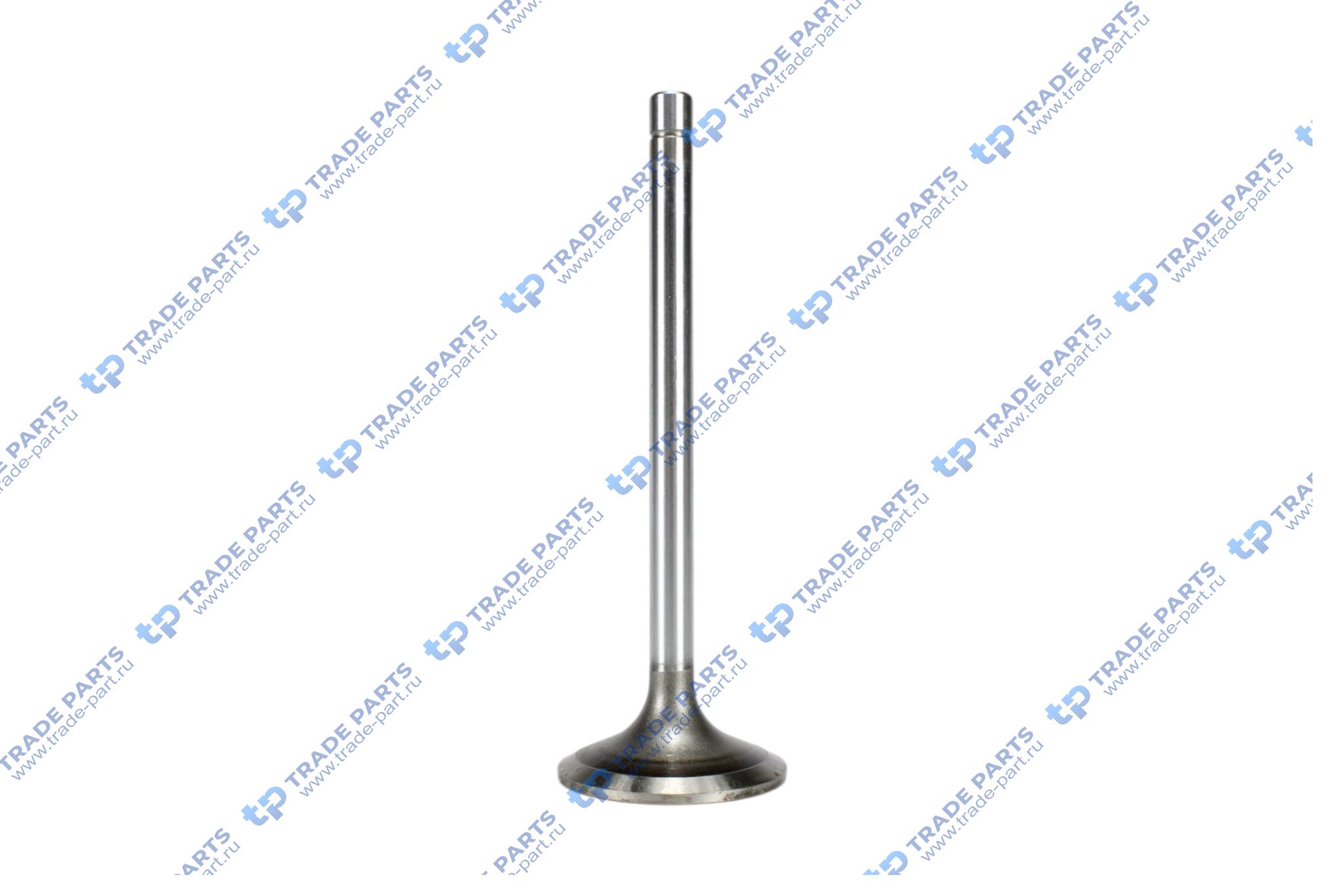 Реальная фотография впускной клапан iveco