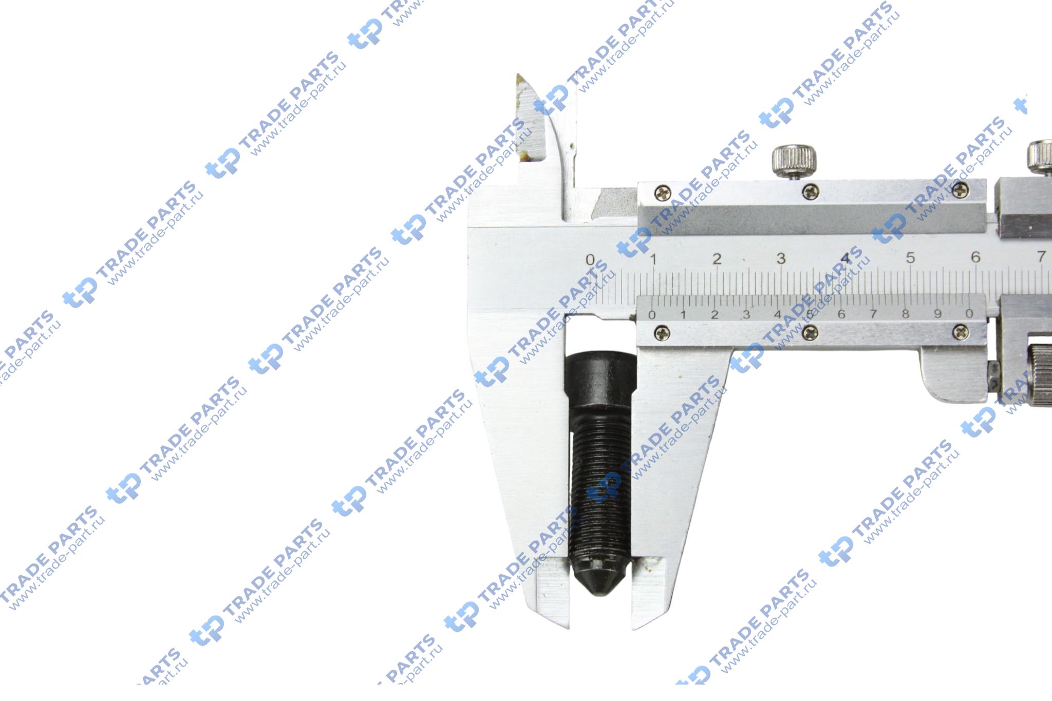 Реальная фотография болт крепления маховика mercedes om611om646 m10 x 1 x 22,5 mm