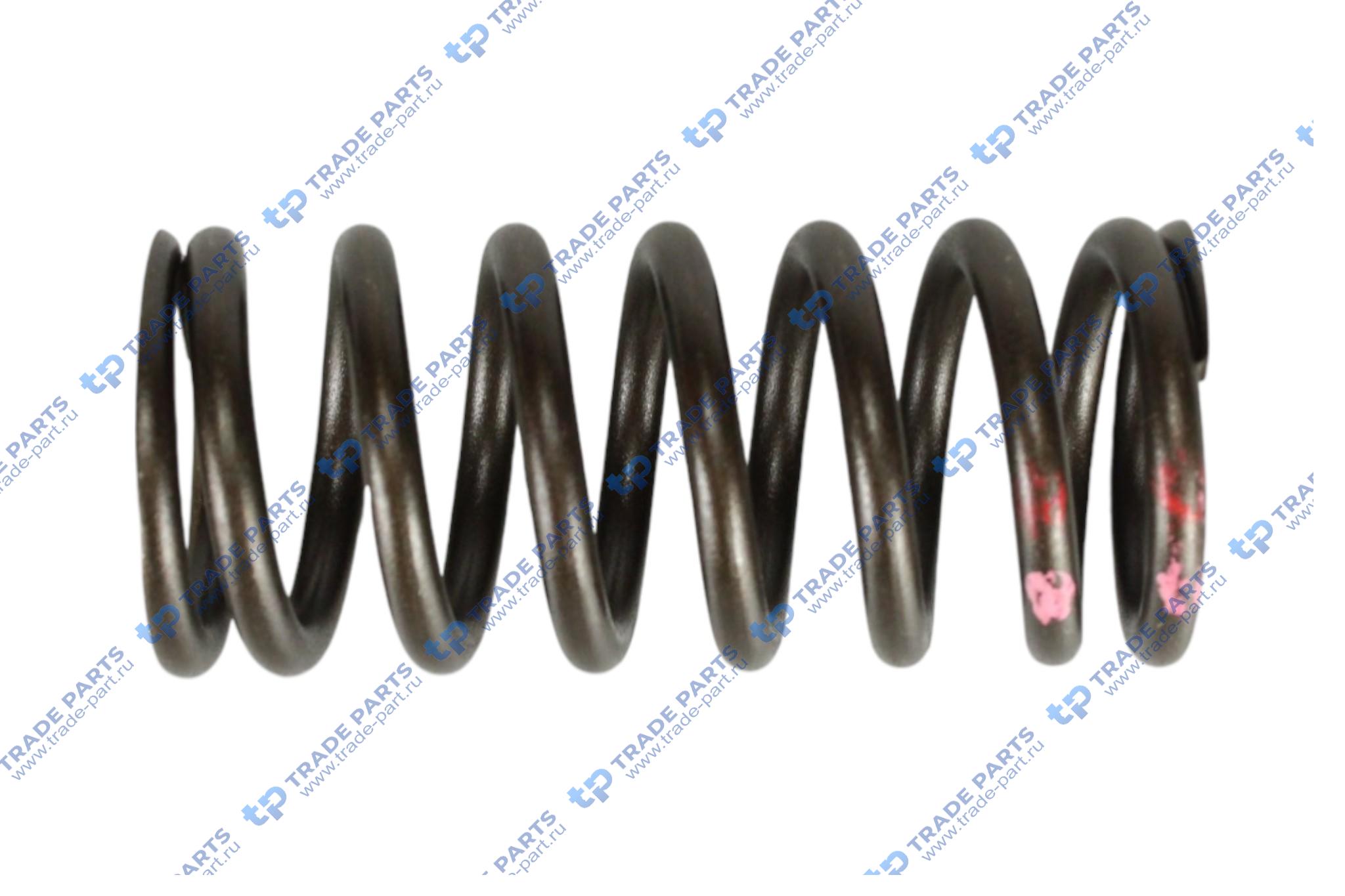 Реальная фотография пружина клапана двигателя mb actros/ axor