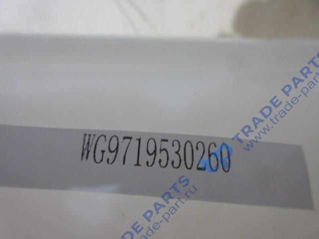 Реальная фотография бачок расширительный (большой) howo wg9719530260