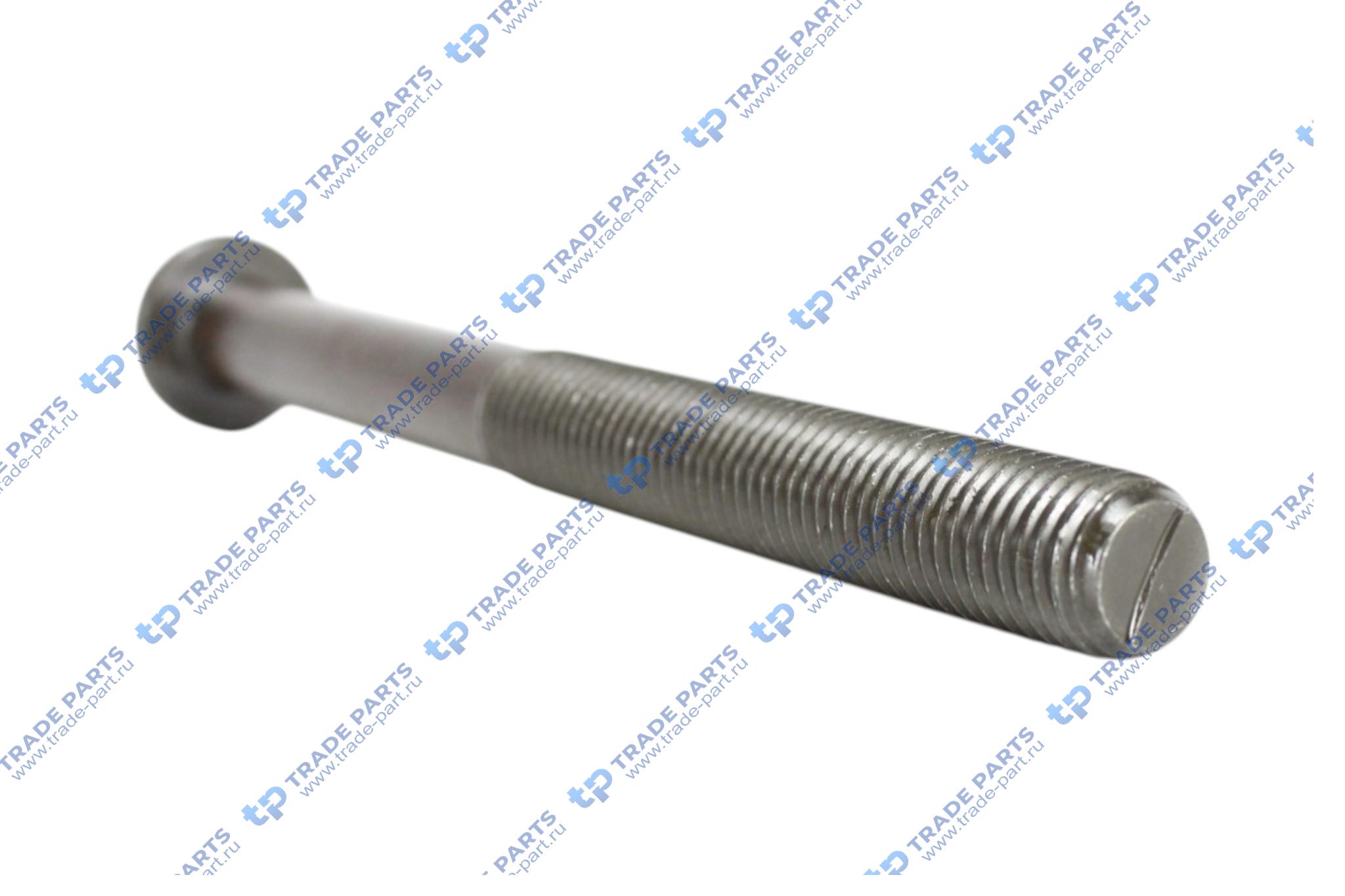 Реальная фотография болт головки блока цилиндров m15x2,0x170мм deutz tcd 2013 l04/l06 4v