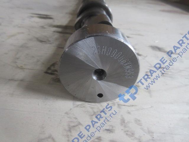 Реальная фотография распредвал wp13 shacman x6000