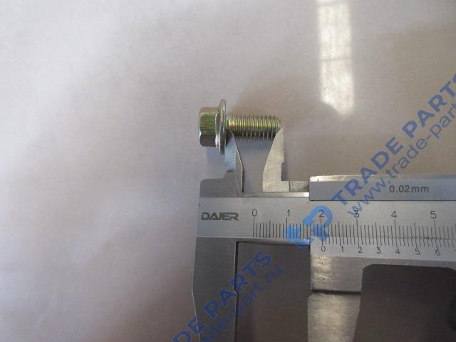 Реальная фотография болт с фланцем м10*25 sitrak качество о