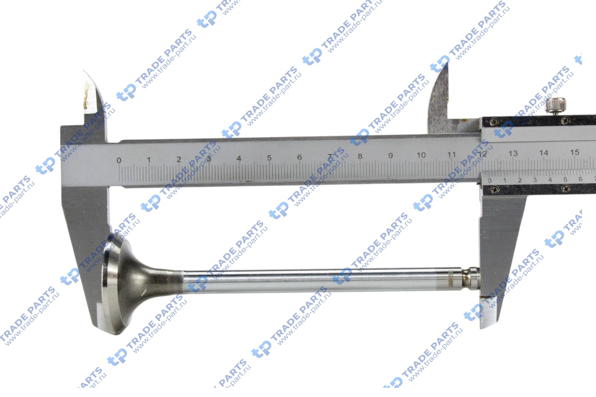 Реальная фотография клапан выпускной iveco daily (fiat)