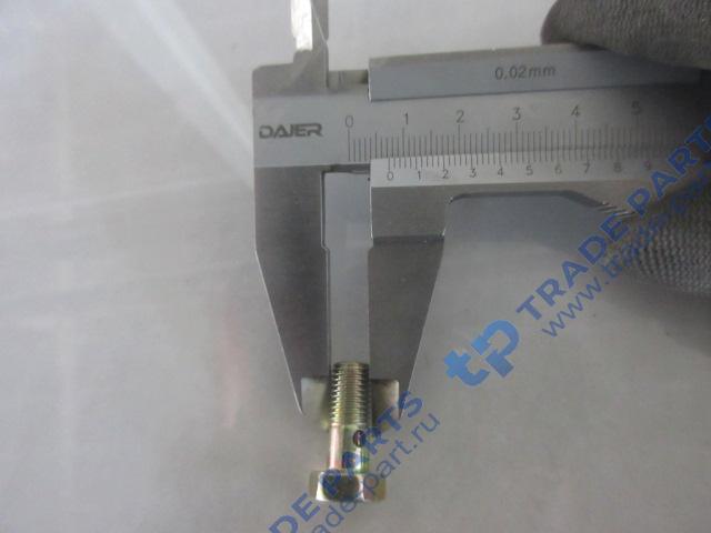 Реальная фотография болт полый топливной трубки m6 l=15