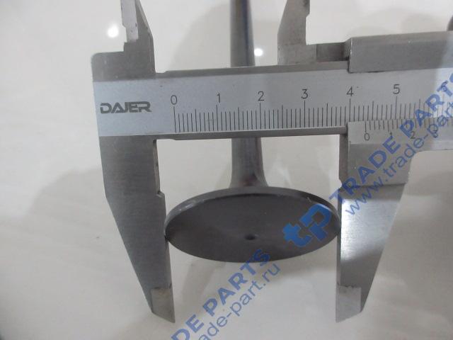 Реальная фотография клапан wp12 впускной shaanxi 612630050001