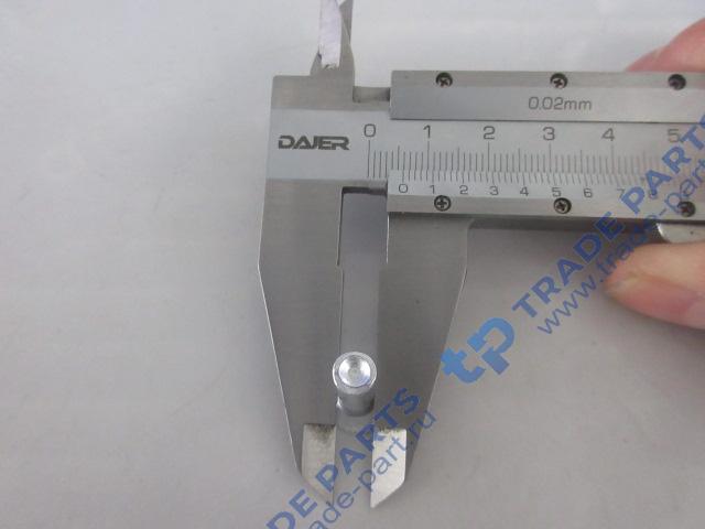 Реальная фотография заклепка d=6 l=20