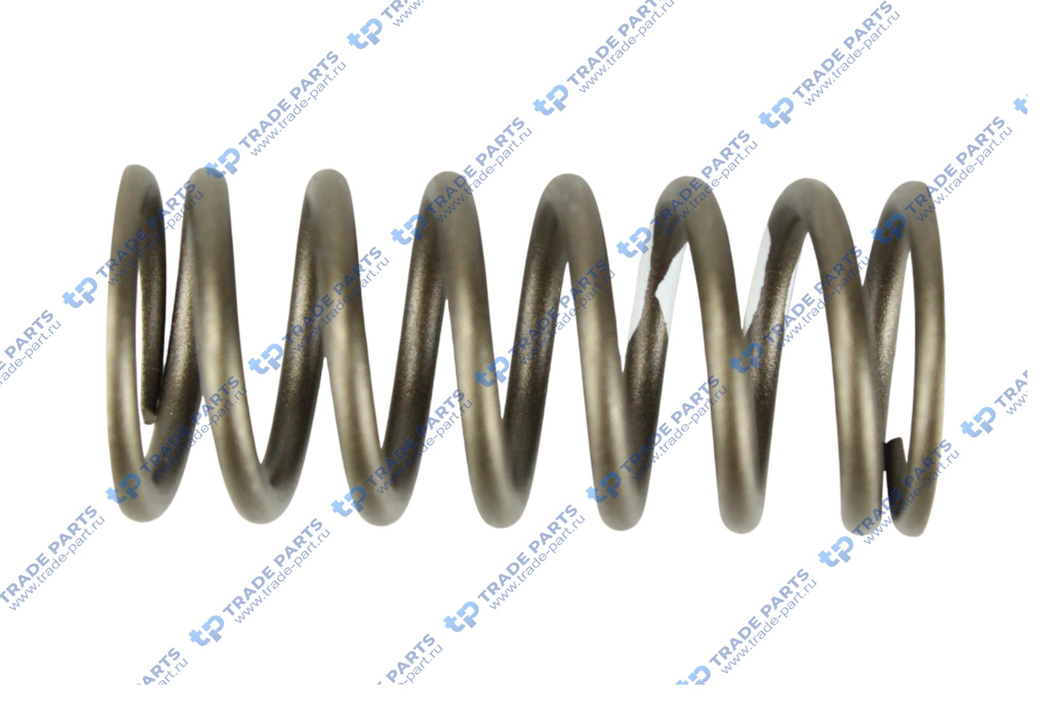 Пружина клапана внешняя MAN Leon R07