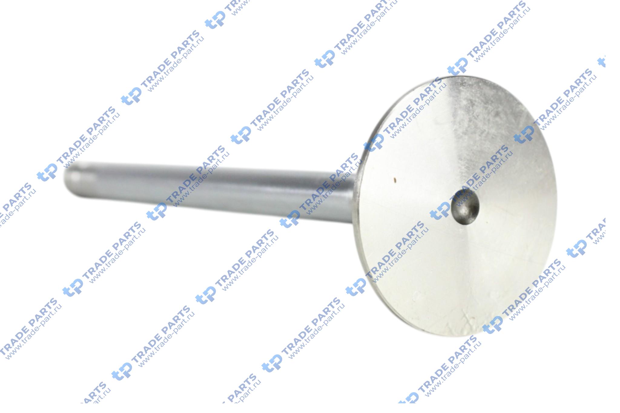 Реальная фотография клапан выпускной iveco