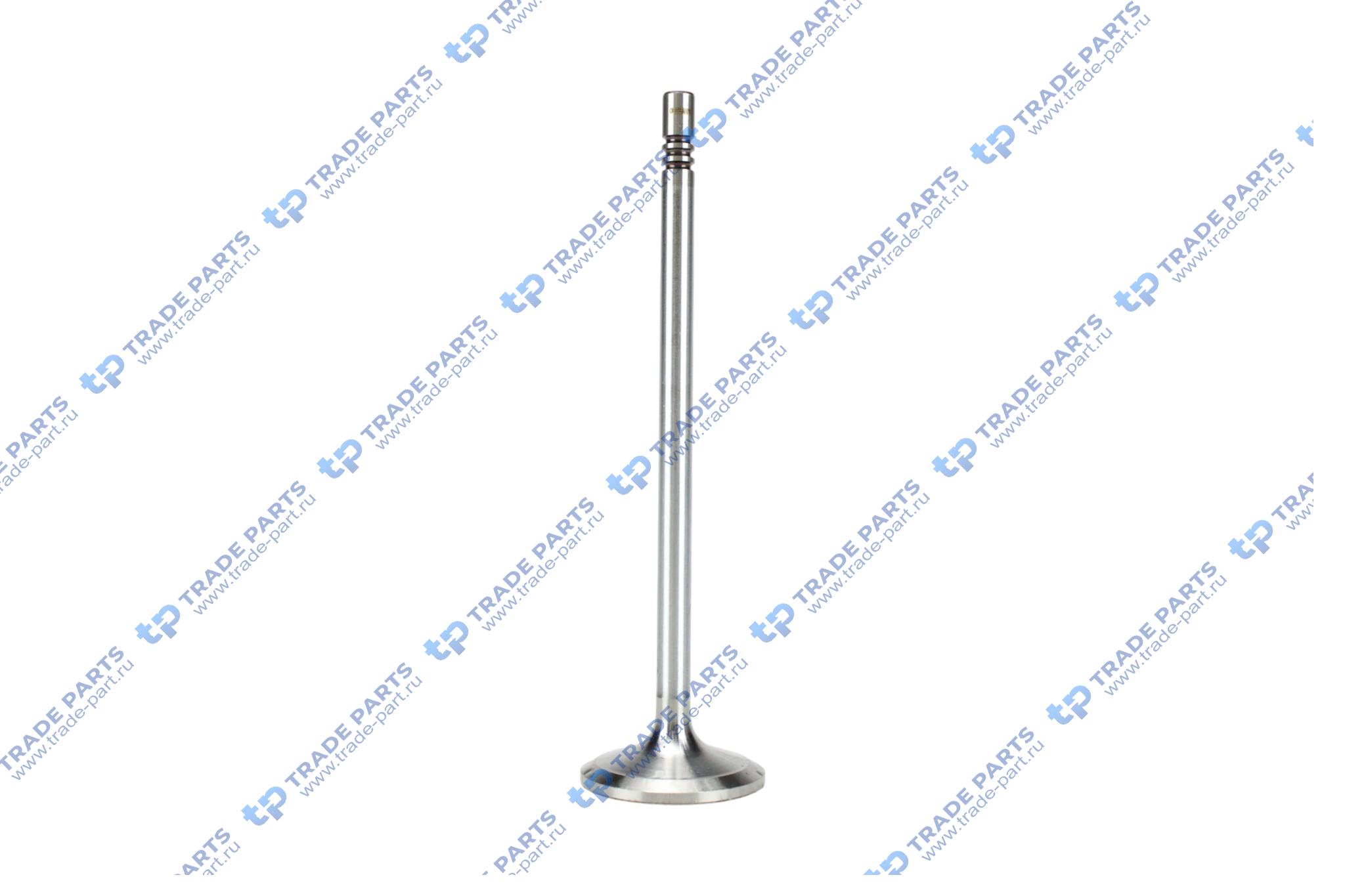 Клапан впускной 38x7x141.5 MAN TGL/TGM дв.D0836 LF41/44/LFL44/50-55/LOH40-41/LUH40/